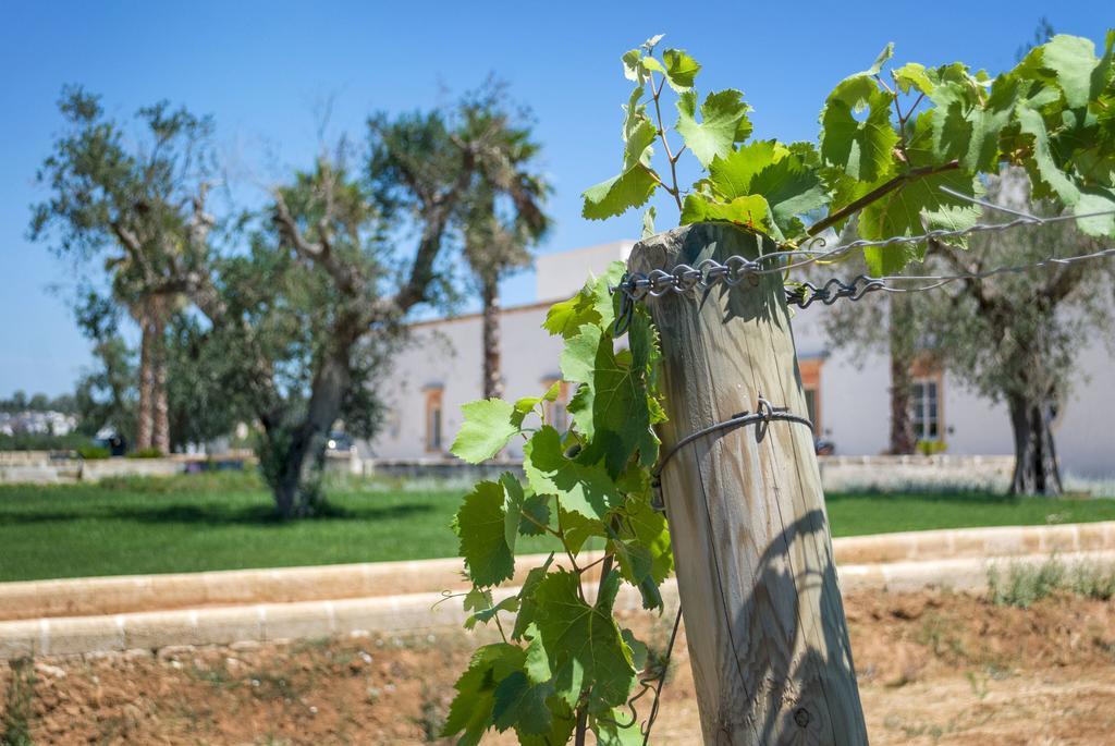 Tenuta Mose Charming House&Relais Gallipoli Exterior foto